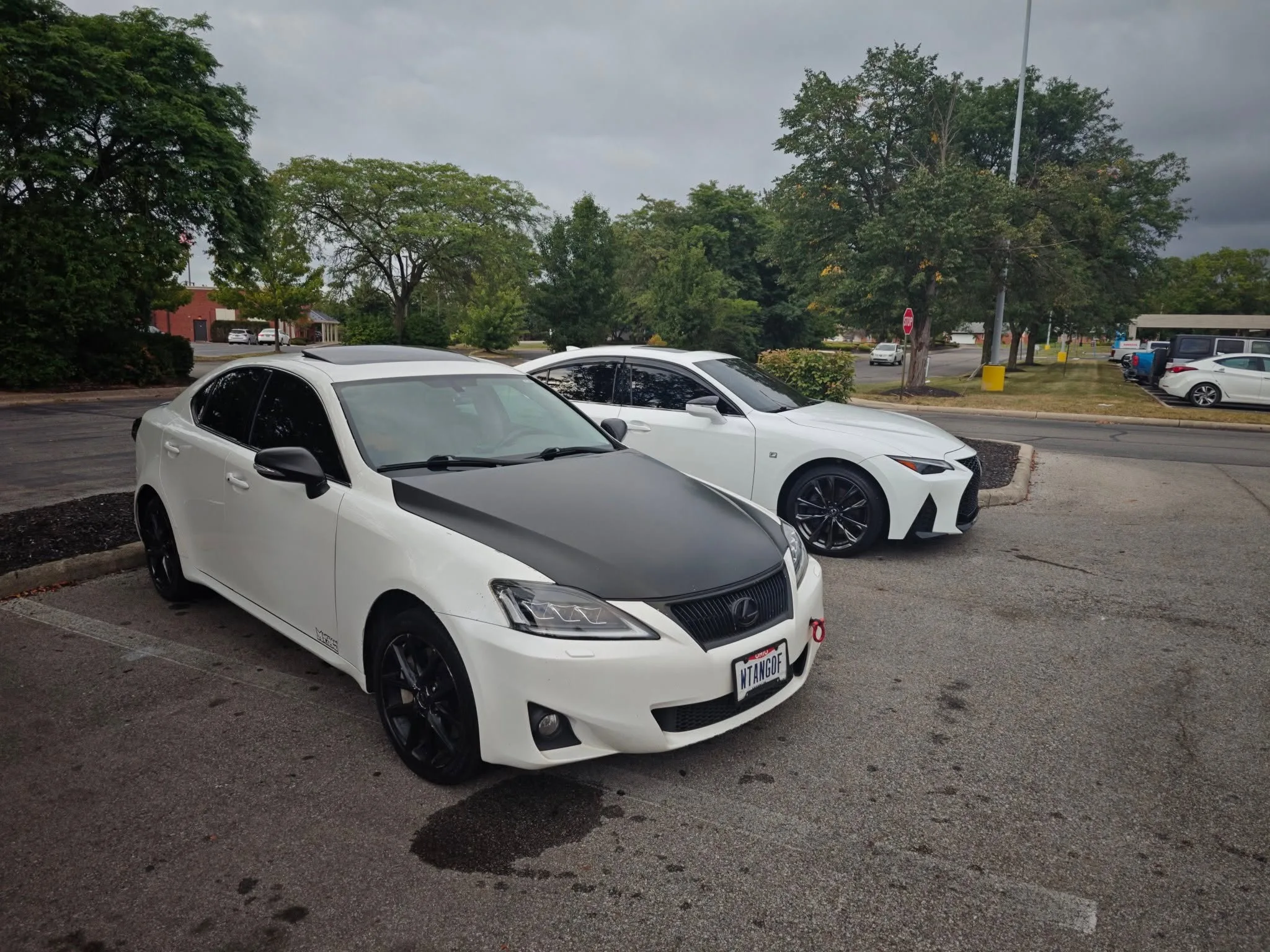 Two white Lexus sedans parked on a quiet street